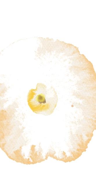 Flowers-2